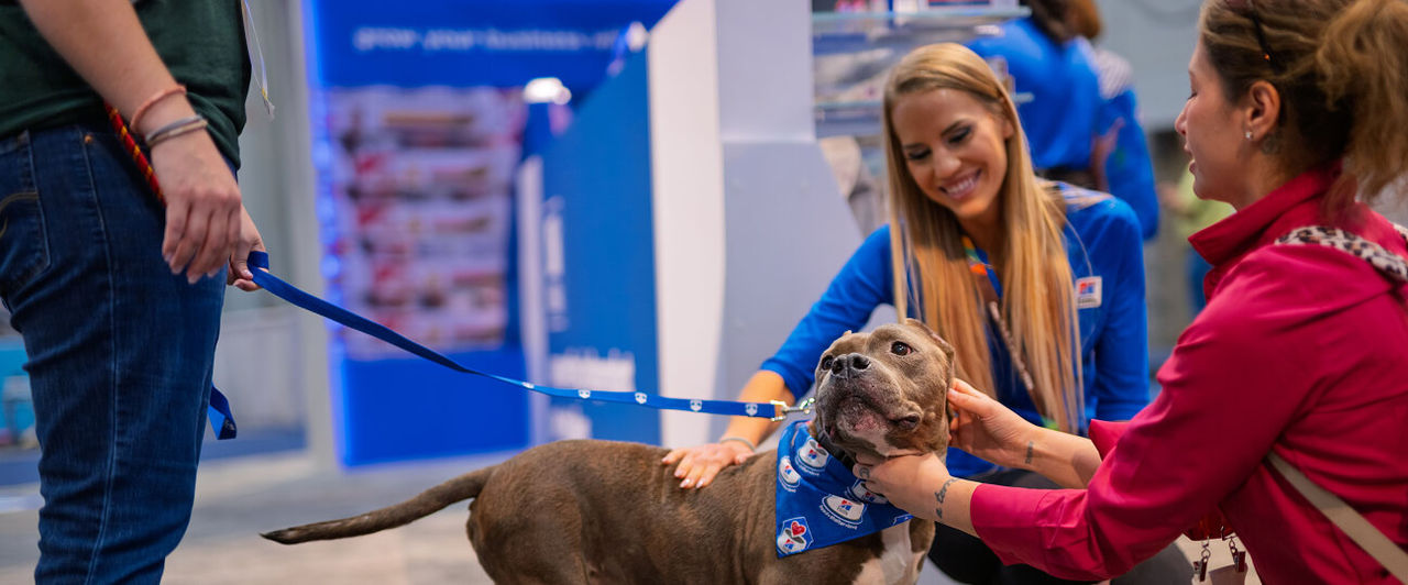 Dos mujeres acariciando a un perro que lleva un pañuelo durante un evento de «Hill's Food, Shelter & Love».