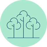 Icono de árboles que representa la «gestión responsable del medio ambiente».